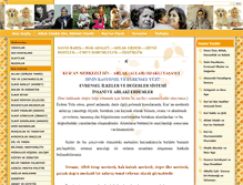 Tablet Screenshot of erdemyolu.com